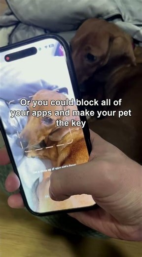 This video might suck you into scrolling for another hour