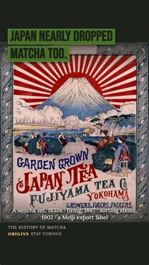 54% of Japan Drinks This Tea #sencha #japan #tea