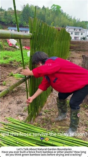 DIY Green Bamboo Garden Fence – Simple, Natural, Free 🎋