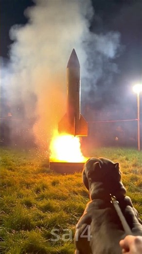 wait for the falcon wings 😱😱😱 Dog saw it and lost his mind #viral #reels #fireworks