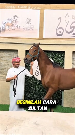 This is How Arab Sultans Cook Horse Meat