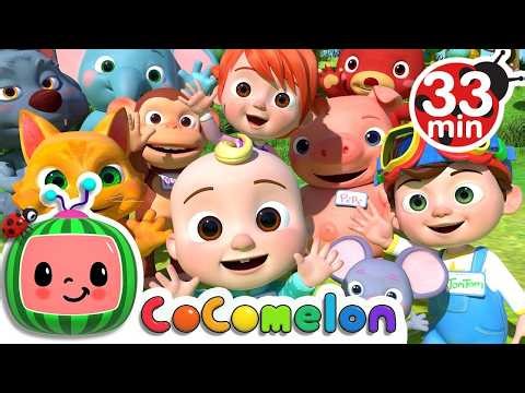 Four Seasons Song for Kids | Spring, Summer, Fall & Winter Nursery Rhyme