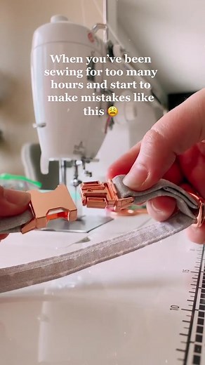 The Dog Days Co. on TikTok