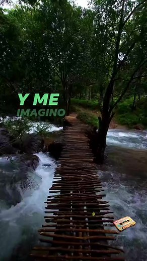 "Demente" es una canción del grupo mexicano Pequeños Musical, conocido por su estilo de música de banda. Esta canción es una balada romántica que habla sobre el dolor de una relación amorosa y la obsesión que puede causar el amor no correspondido. Fue lanzada como parte de su álbum "Románticos Inolvidables". Pequeños Musical alcanzó gran popularidad en la década de 1990 y principios de los 2000. "Demente" se volvió especialmente popular en esos años, consolidando al grupo como uno de los favorit