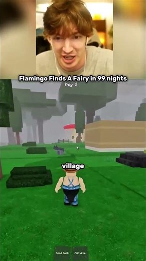 Flamingo finds a fairy - 99 Nights in the Forest (Part 3)