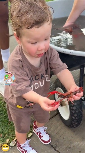 Toddlers in the south are just built different! my toddler is fearless in ways that concern me 👀