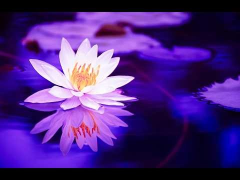 Namo Amituofo Chanting 📿 南無阿彌陀佛：三小時深度冥想、淨化心靈與助眠放鬆 [3 Hours] #ZenPaw #南無阿彌陀佛 #深度冥想 #sleepmusic