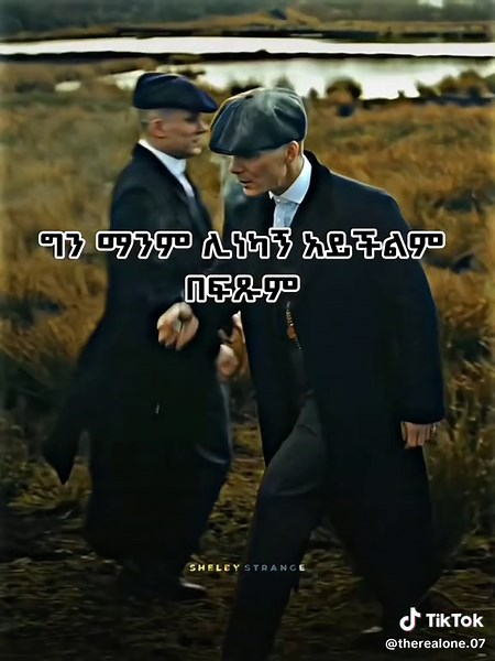 Explore Sigma Male Quotes and Habesha TikTok Trends