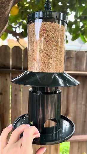 Squirrel Proof Bird Feeder Review!
