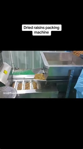 Dried fruit packing machine upright pouch with zipper