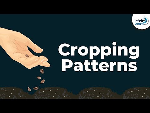 What are the Cropping Patterns | Don't Memorise