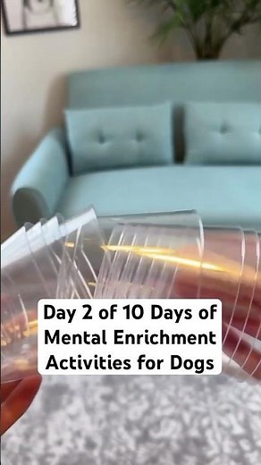 Day 2 of 10 Days of Mental Enrichment Activities for Dogs