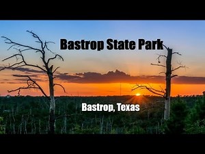 Bastrop State Park