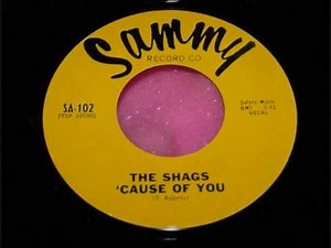 Shags 04 Cause Of You