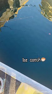 Matangbaka🇵🇭 Bigeye Scad🇺🇸 Aji🎌 #japan #fypシ #followersreels #nature #MustSee #fishing #catchandrelease | AskalnaMangyan