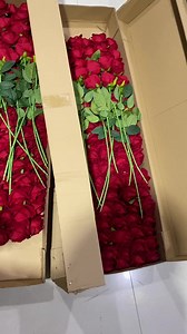 Factory Lower Wholesale Bulk Single Artificial Roses Red White Artificial Roses Flowers