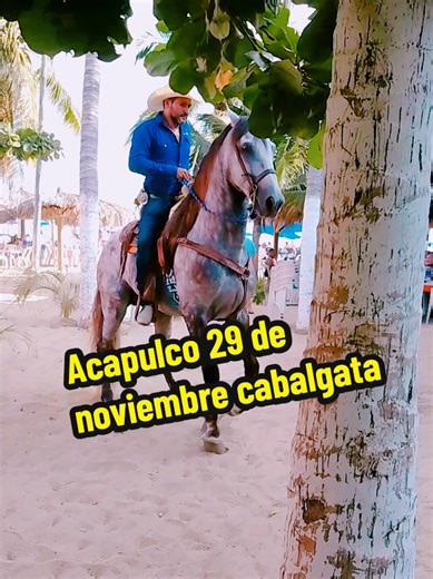 Acapulco 29 de noviembre cabalgata 2015