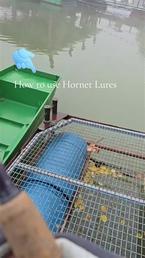 How to Use Hornet Lures for Successful Fishing