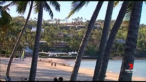 6.3K views · 16 reactions | A James Cook University researcher is encouraging locals to play an important part in helping the Great Barrier Reef survive. A 'citizen science program' is hoping to uncover which coral reefs are thriving and which need more human intervention. www.7NEWS.com.au #7NEWS | 7NEWS Townsville | Facebook