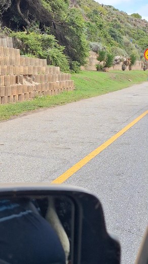 Dream Catcher touring (@dream.catcher.touring)’s videos with original sound - Dream Catcher touring