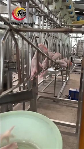 Revolutionizing Poultry Processing with Automatic Feet Unloading 1 fixed 20251225