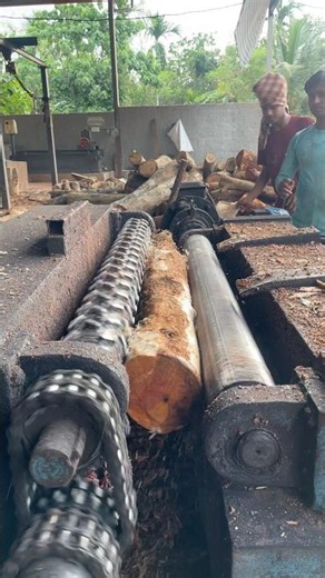 Plywood machine debarking wood core cutting 🪵🔥|#wheelsaw #peeling #shorts