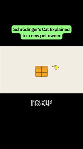 We made AI explain Schrödinger's Cat to a new pet owner 🐱