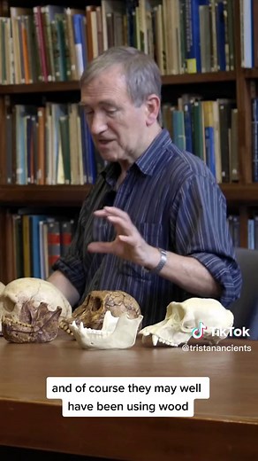 Australopithecines 🧍‍♂️🐵 #evolution #anthropology #prehistory #australopithecus With the legend Professor Chris Stringer, filmed at the Natural History Museum. All skulls are replicas.