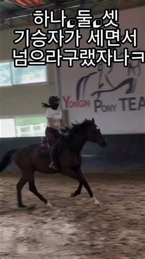 날더워도~ 시원시원한 승마장 😆🤣 /26.5.26/포니승마클럽