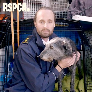 We're now seeing a serious rise in animal cruelty & abuse. Please donate £3 a month to help rescue animals in urgent need. *RSPCA’s cruelty line database 2024 | RSPCA (England & Wales)