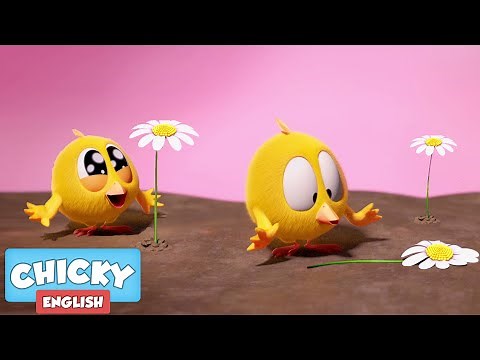 Where's Chicky? Funny Chicky 2021 | NEW 1 HOUR | FLOWER POWER | Chicky Cartoon in English for Kids