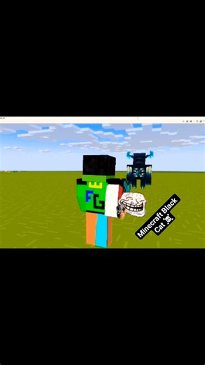 Minecraft black cat 💀 #minecraft #shorts #shortsfeed #viral #trending #minecraftshorts #blackcat