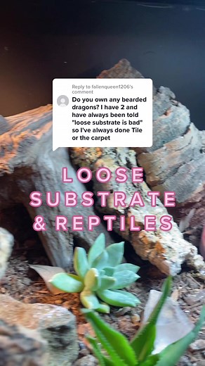 Best Loose Substrate for Bearded Dragons: Care Tips & Recommendations