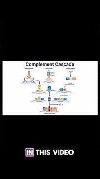 Clinical Chemistry - Complement Cascade