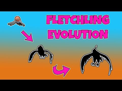 How to Evolve Fletchling | Talonflame | Pokemon Scarlet & Violet