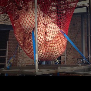 240K views · 694 reactions | Ever seen a blue whale’s heart? Now you can thanks to this gory process. | The Times and The Sunday Times | Facebook