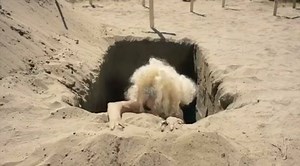 45K views · 2.7K reactions | Check out Bob the Drag Queen’s new video featuring a cameo by me. Watch : https://youtu.be/UpOntxHynSk  | Alaska 5000 | Facebook