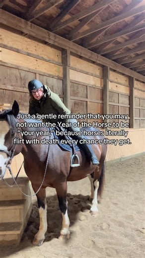 Ash | Hobbies & Motherhood on Instagram: "Maybe the Year of the Horse shouldn’t be our year…🙃 #equestrian #horsegirl #horsebackriding #yearofthehorse"