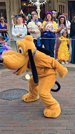 Disneyland Paris, Pluto is still not tired of being a Big Guy! Disney Stars on Parade