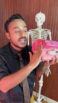 Lungs Anatomy Viva Series | Must Know for MBBS Students#MBBS #Anatomy