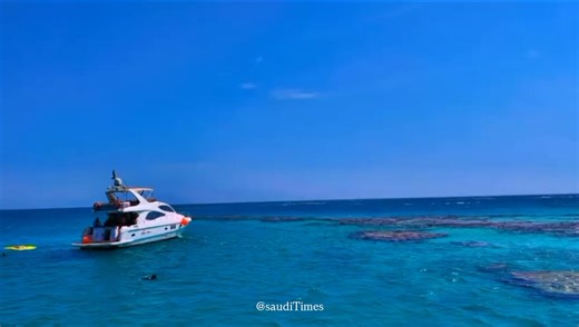 6.3K views · 51 reactions | ✨ The Red Sea – Saudi Arabia’s Natural Wonder! Crystal waters, rich marine life, and endless beauty.  #saudiarabia #RedSea #ExploreSaudi #SaudiTimes | Saudi Times | Facebook