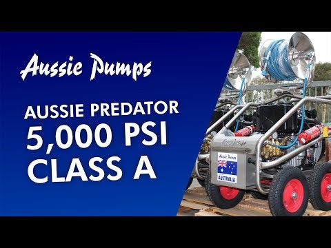Aussie Diesel Predator ... Class A winner