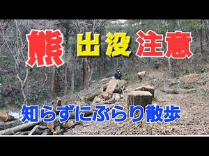 東京の熊出没目撃注意の山に知らずに登山…#shorts #癒し #可愛い #自然観察ぶらり散歩 #日ノ出町 #野鳥の森