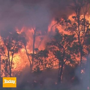 43K views · 556 reactions | A massive blaze burning near Perth has now destroyed 71 homes. Crews are bracing for more tough conditions today, with a strong southerly change expected to push the fire north or north-east towards the Shady Hills area. #9Today | TODAY | Facebook