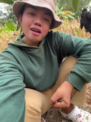 Ms.Turon (@ms_turon13)’s videos with original sound - MoodSwitch.Tug