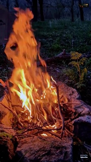 Relaxing by the Campfire Beside the Tent | Peaceful Camping Night Vibes #48