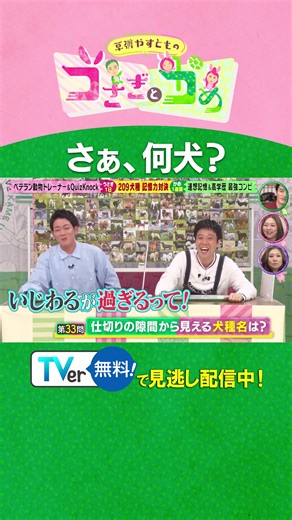 草彅やすとものうさぎとかめの魅力