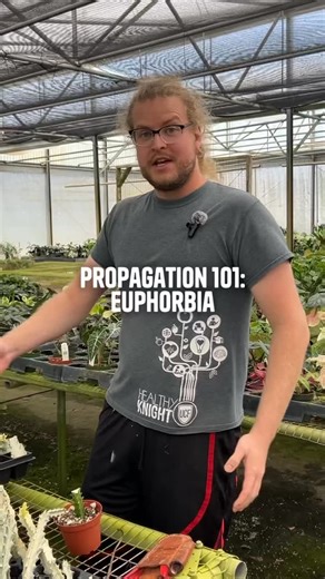 1.4K views · 20 reactions | Who wants to propagate more in 2026? ✋ Tips for Euphorbia: - allow the bottom to dry (to avoid root rot) 浪 - remember which side is up ⬆️ - be patient! Euphorbia can take longer to grow than others  Got questions? We are always here to answer!  | Gabriella Plants | Facebook