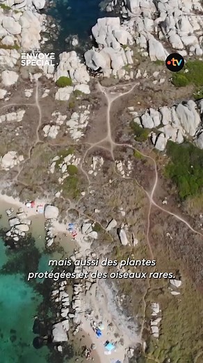 🏝 Sur les îles Lavezzi, en Corse, il œuvre pour que la nature retrouve sa place face au flot des visiteurs. Dans cette réserve naturelle, Jean-Michel Culioli se bat depuis 15 ans pour protéger ce joyau fragile. Face à la pression touristique, il défend une approche plus responsable et milite aujourd’hui pour instaurer un quota de 2 000 visiteurs par jour. « Tourisme, le trop plein », un reportage d’Envoyé Spécial à découvrir ce soir sur France 2 et sur notre plateforme ! | France tv nature