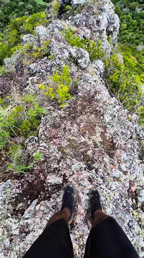 Une trés belle vue sur le Morne Brabant😍🤩🇲🇺🔥 #ExploreMauritius #climbing #mauritius #mountains | Thomson Adventures
